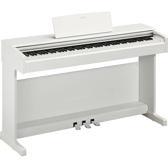 Müzik Aletleri